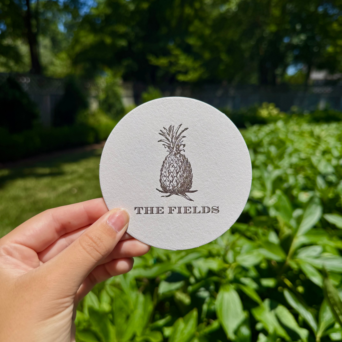Custom Pineapple Coasters