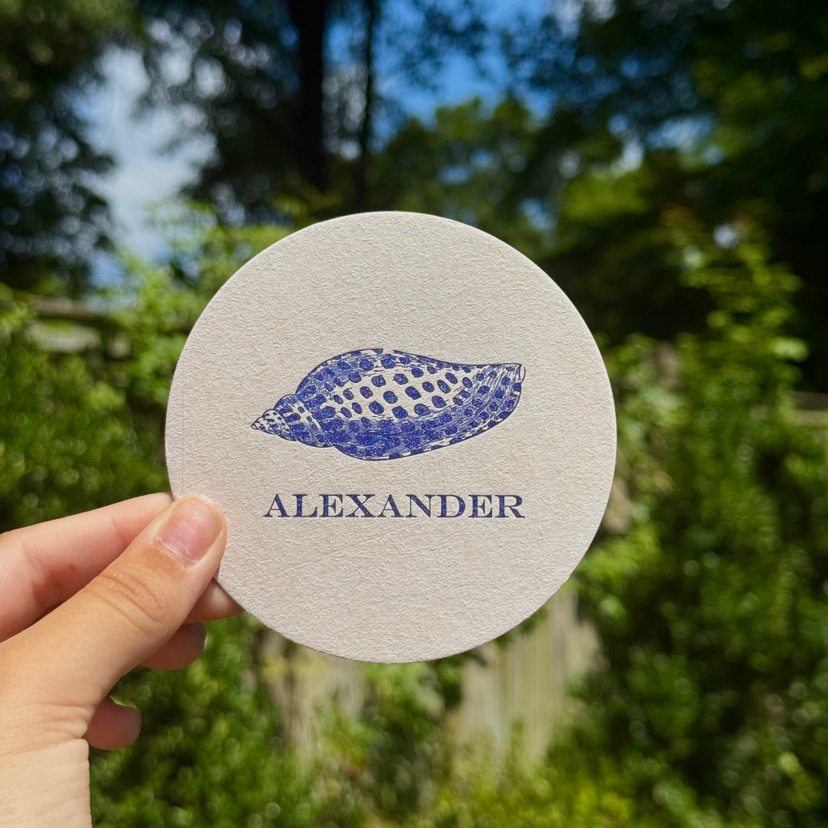 Junonia Shell Custom Coasters