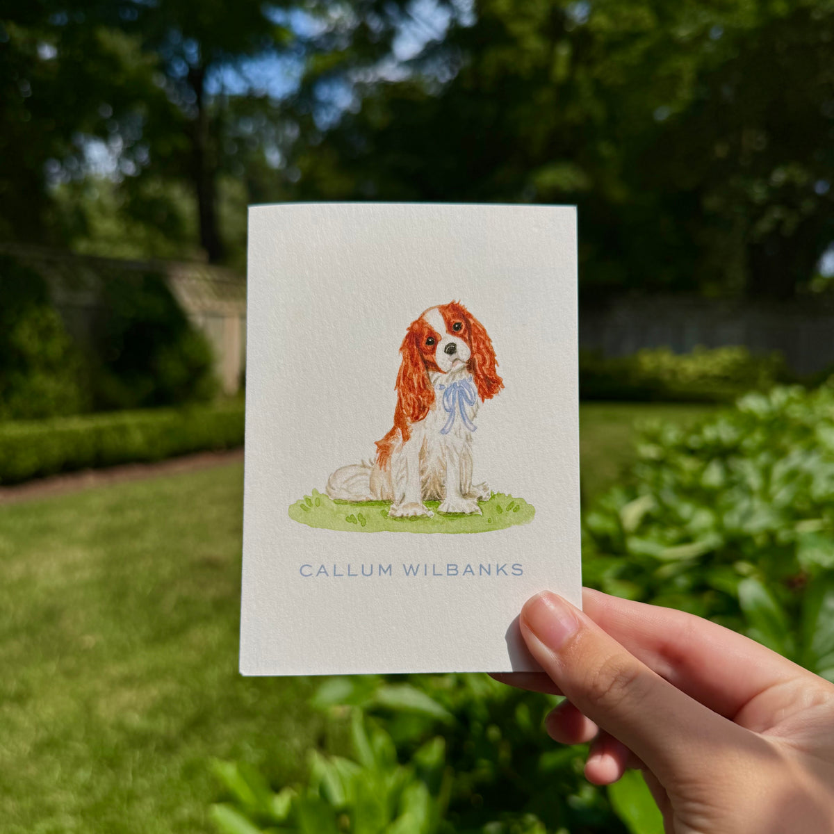 Cavalier Garden Blenheim Folded Notecard