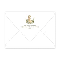 Boys Birthday Party Invitations